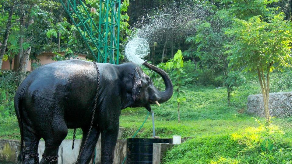 Swasthi Griha Villa Aranmula Ngoại thất bức ảnh